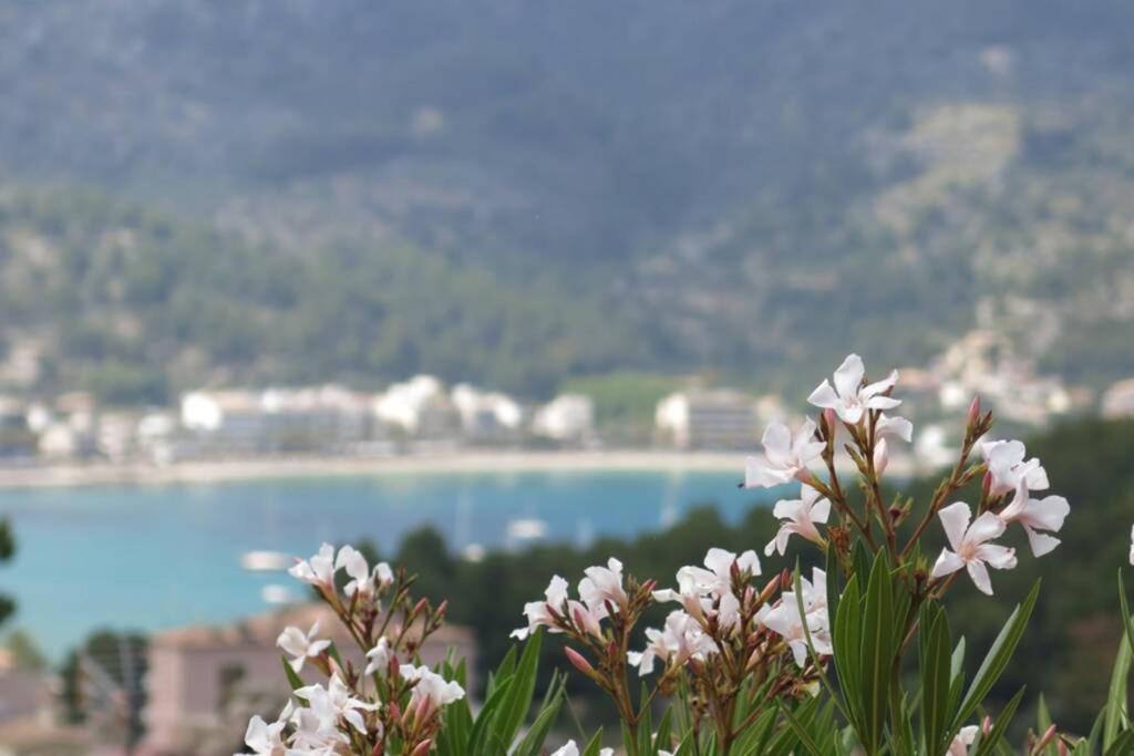 Apartamento En El Puerto De Soller Con Gran Terraza Privada Y Vistas Al Mar. Piscina Comunitaria. Localizado En Un Zona Tranquila Y Muy Soleada. Wifi Gratis Disponible. Parking. Exterior foto